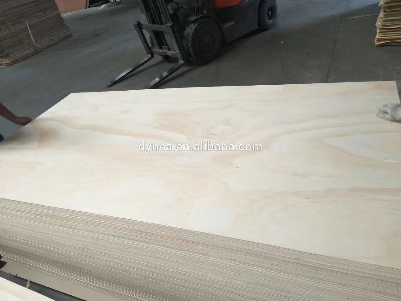 Pine Plywood CIMBRA URUGUAYA PTS 12mm y 15mm y18mm