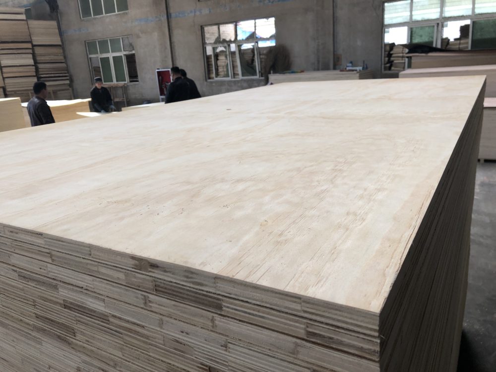 Pine Plywood CIMBRA URUGUAYA PTS 12mm y 15mm y18mm - 图片 6
