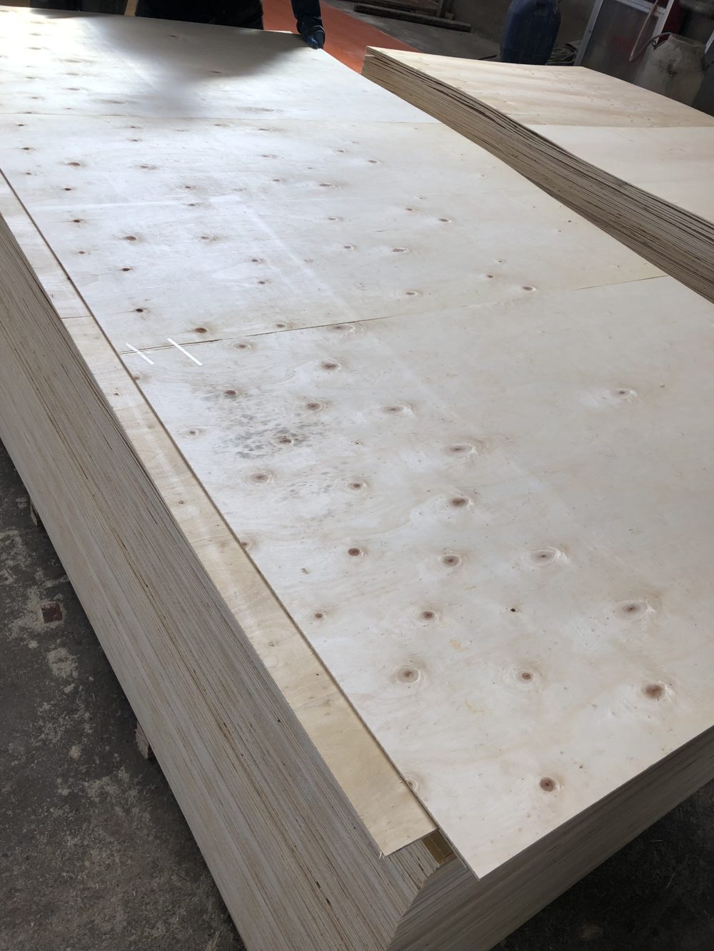 Pine Plywood CIMBRA URUGUAYA PTS 12mm y 15mm y18mm - 图片 7