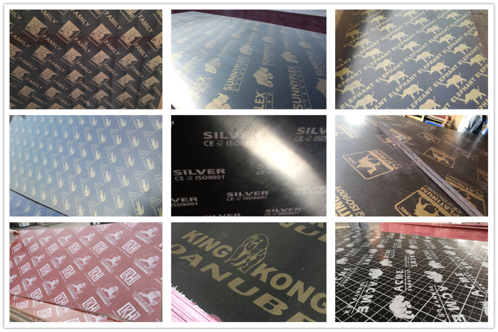12mm Marine plywood to Cambodia - 图片 7